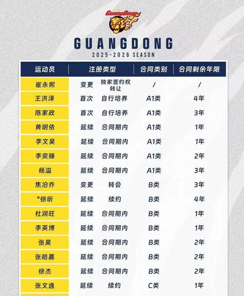 cba盖帽排名榜个人