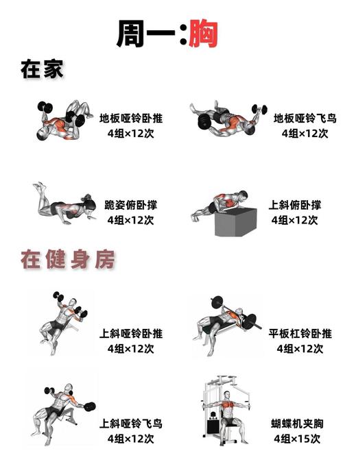 怎么练成橄榄球运动员那种体格