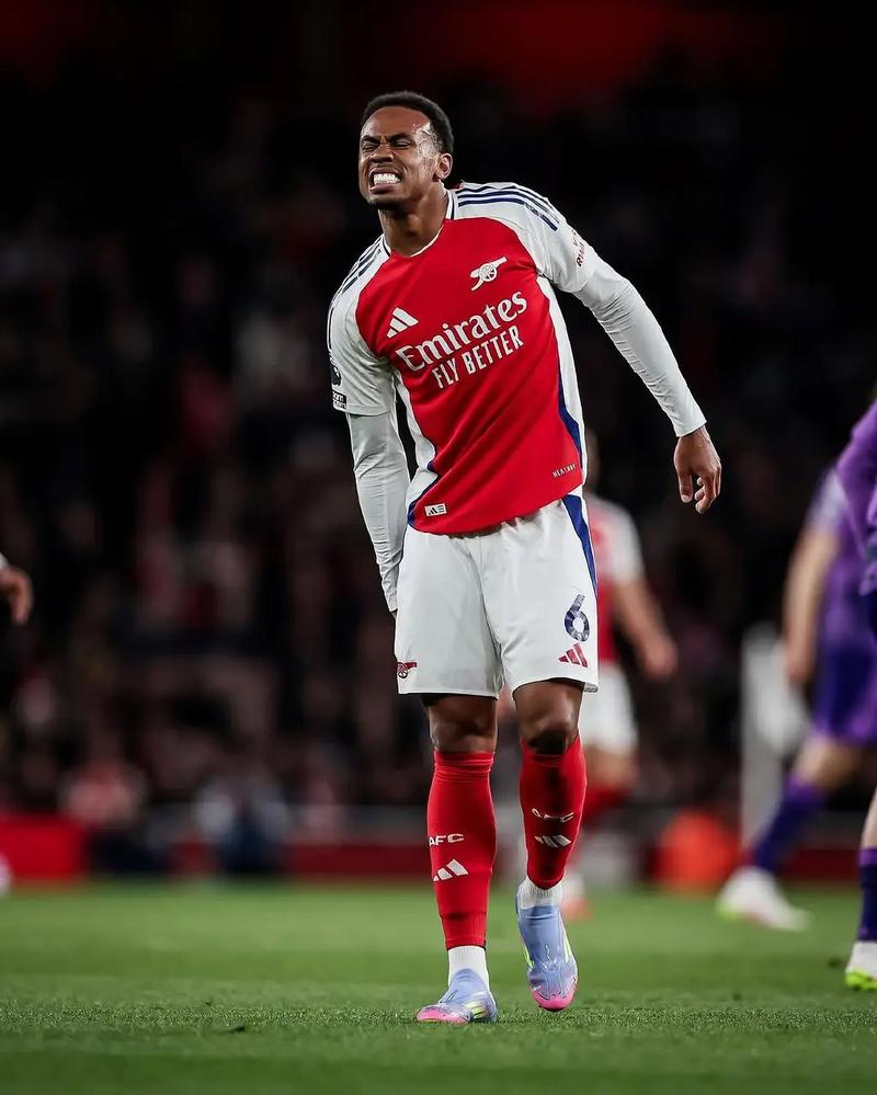 加布里埃尔什么水平