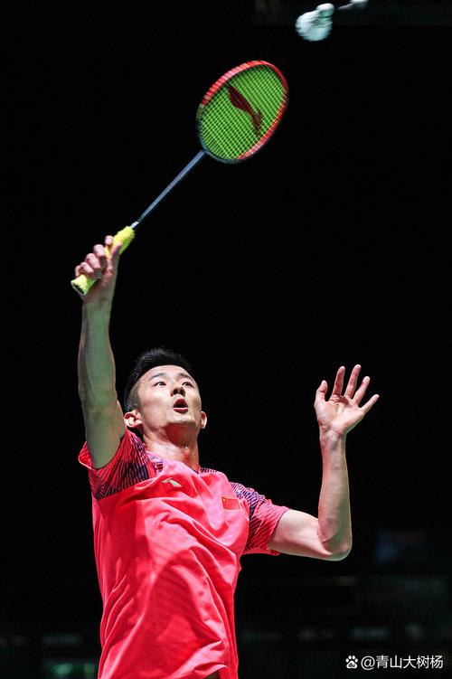 中国国家羽毛球队谌龙