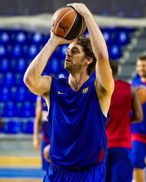 篮球明星保罗加索尔是哪个国家的