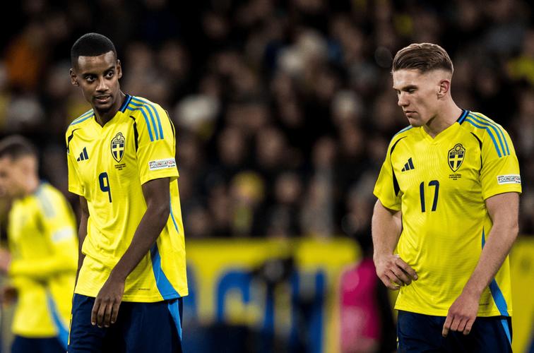 瑞典国家队十大球星