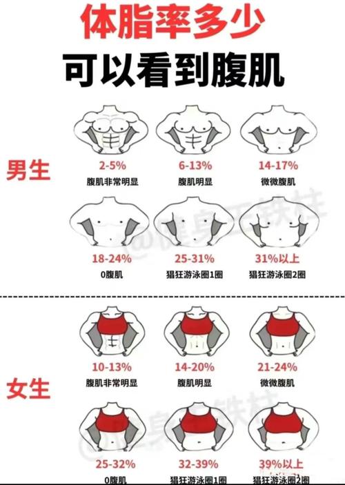 nba球员体脂含量排名