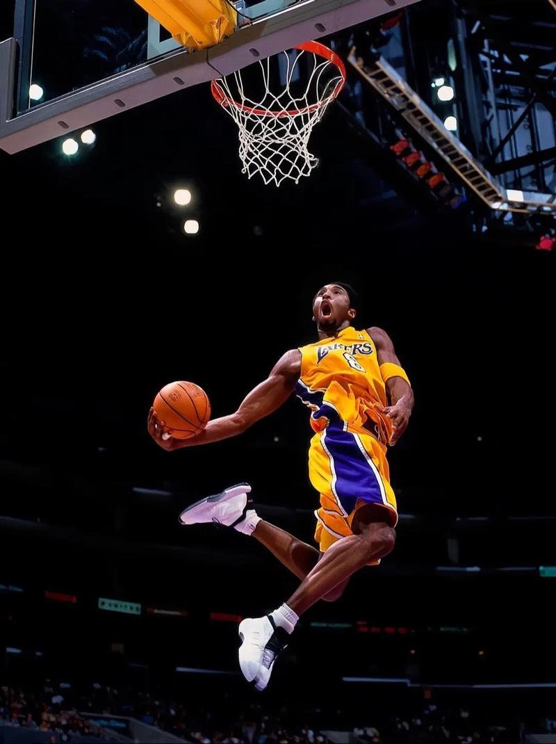 最强nba罗宾逊扣篮特效