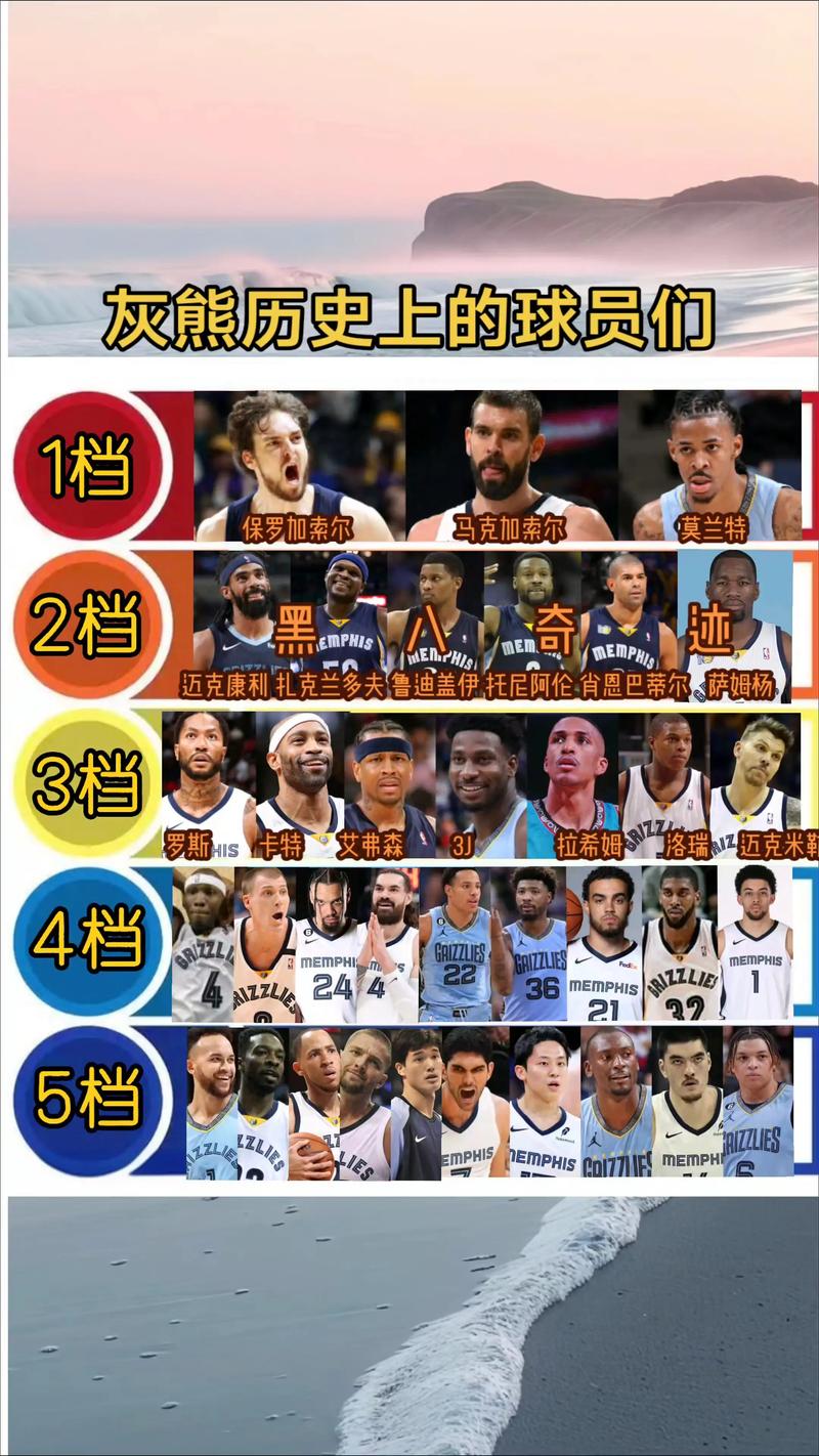 灰熊2014-2015阵容