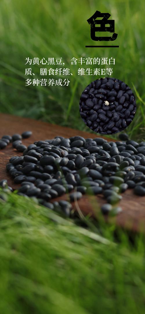 小黑豆是啥
