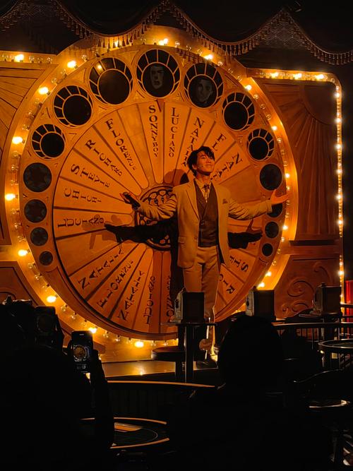 迈克坎奈尔舞台真实论