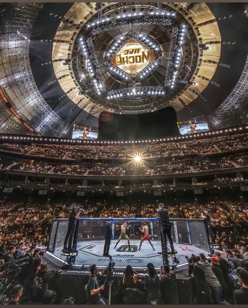 普通人到哪可以ufc押注