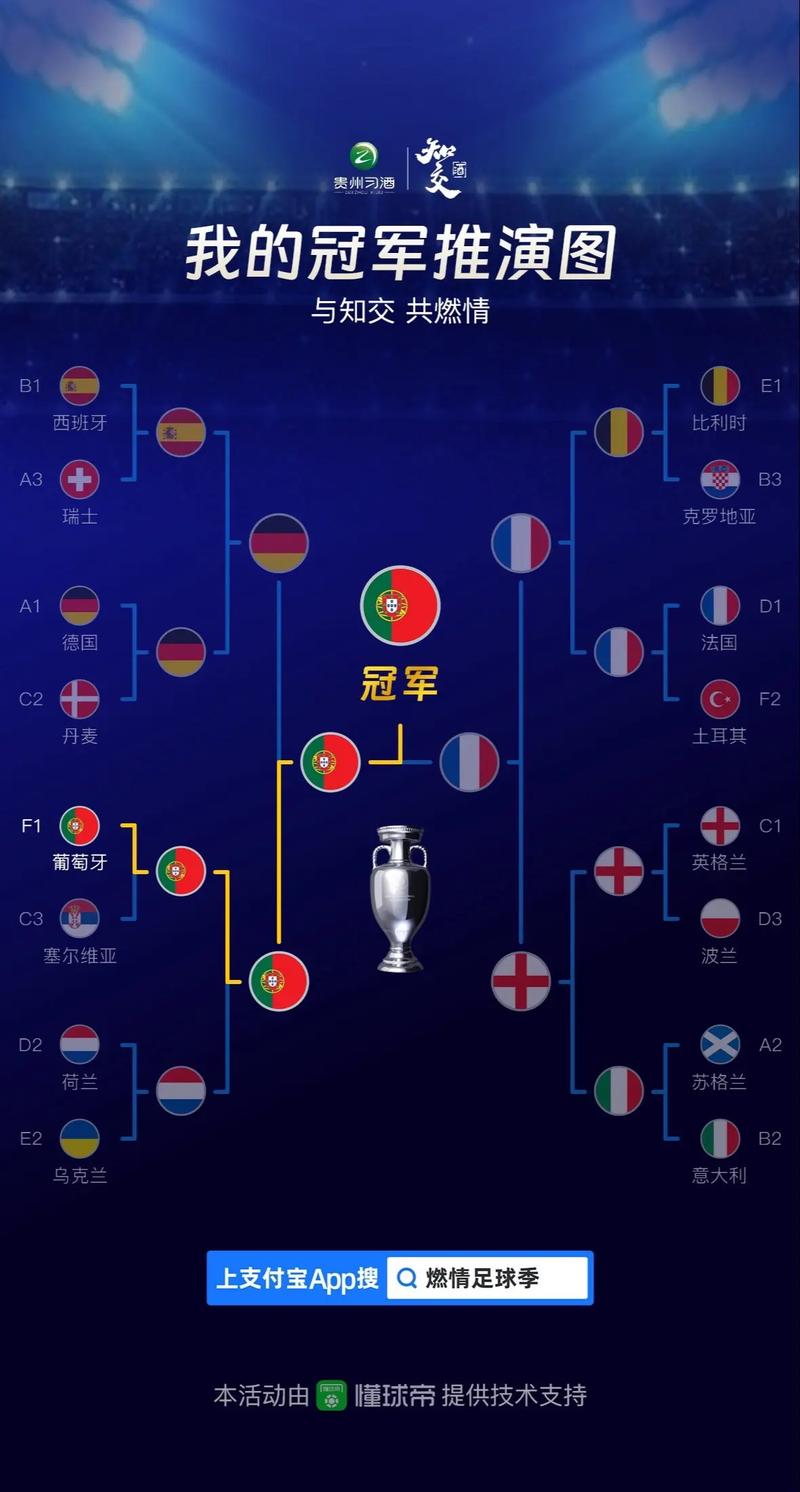 冰岛欧洲杯 2016成绩