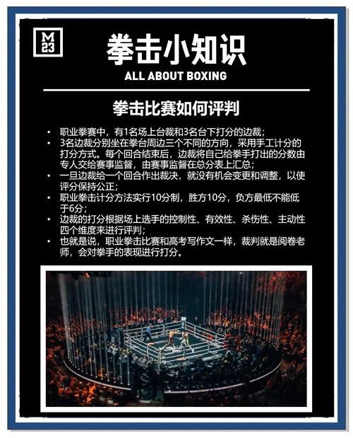 拳击比赛几个回合分胜负