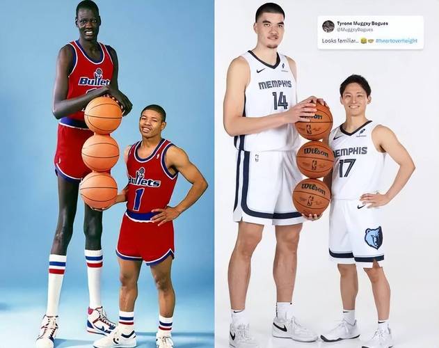 nba个子矮的球星有谁啊