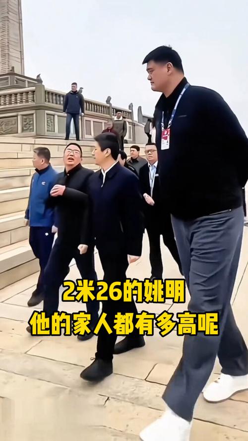 篮球运动员姚明身高多少