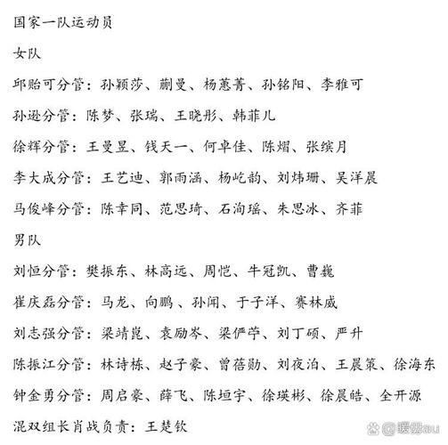 乒乓球国家一队退役名单