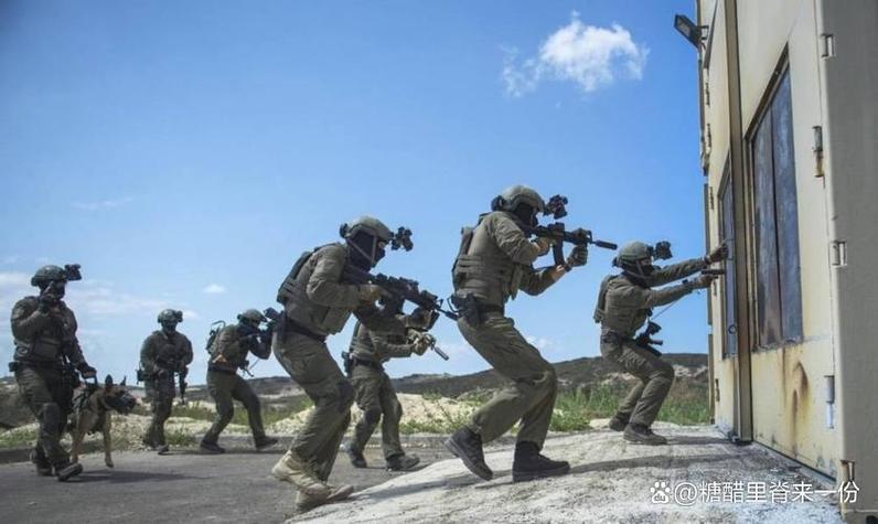 雷霆小组是哪个国家的部队
